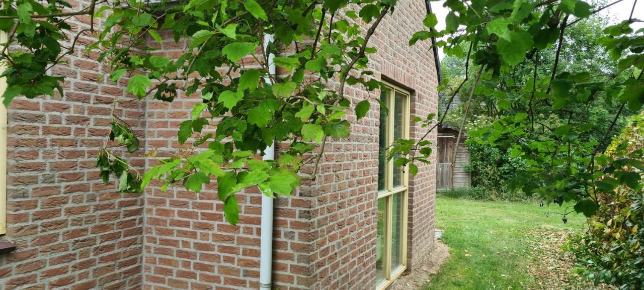 Forestview 'Queenstown' 6 Pers Very Child-Friendly By Kawatea Cottages (Adults Only) Ewijk المظهر الخارجي الصورة