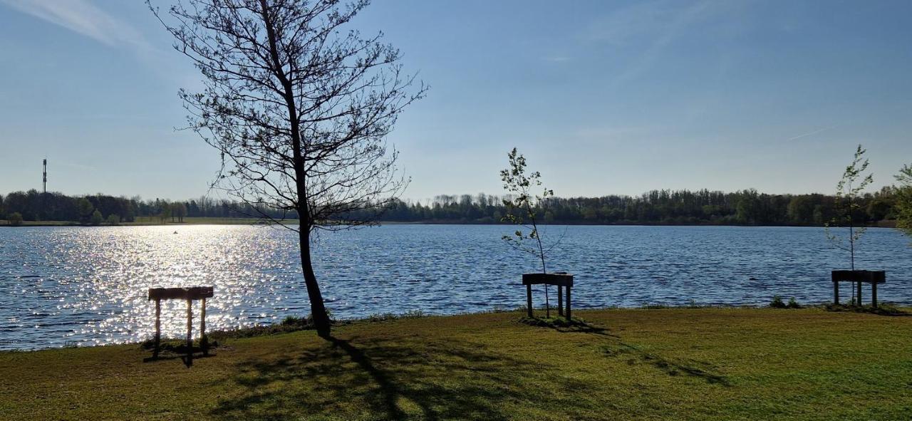 Forestview 'Queenstown' 6 Pers Very Child-Friendly By Kawatea Cottages (Adults Only) Ewijk المظهر الخارجي الصورة